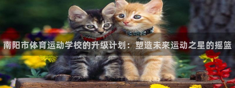 一竞技官网下载是干嘛的公司:南阳市体育运动学校的升级计划:塑